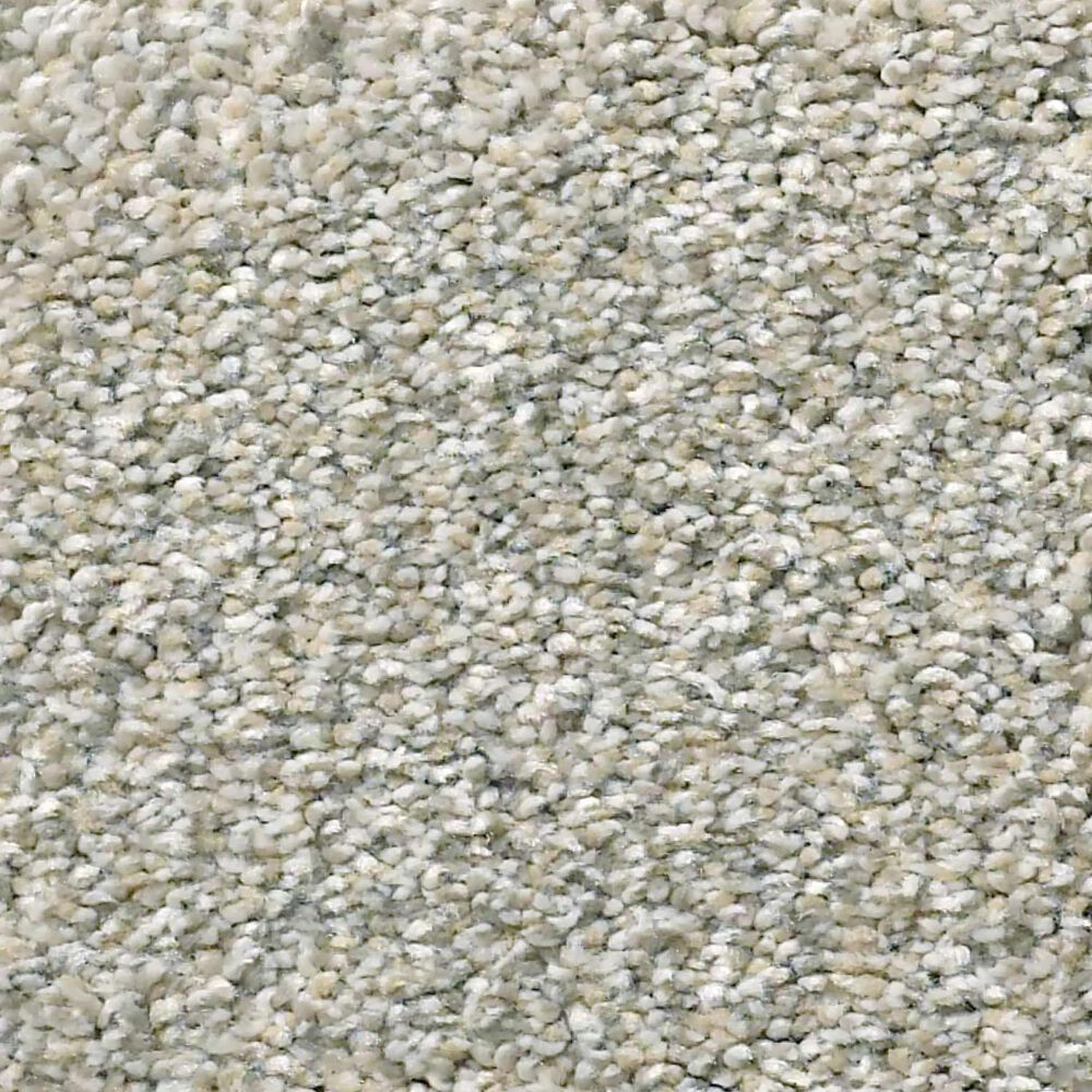 Shaw Montage I Carpet in Gray Morning Frost