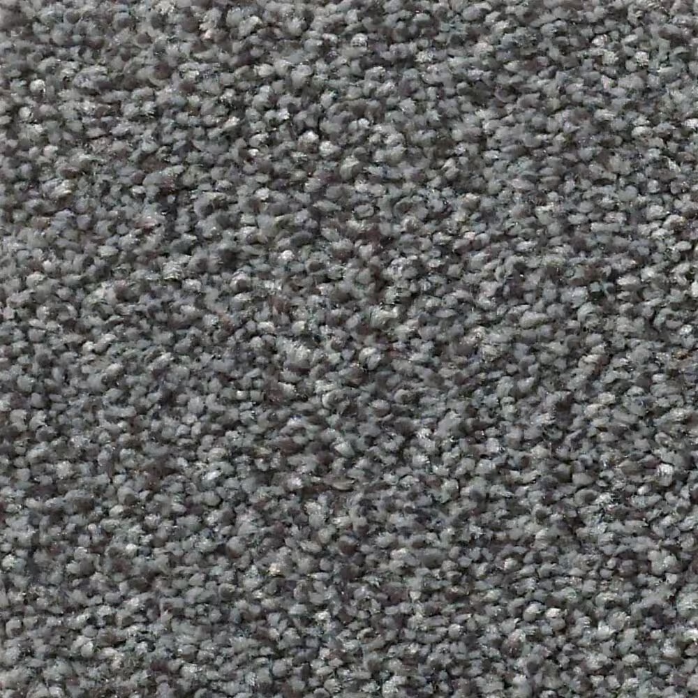 Shaw Montage I Carpet in Carbon Copy