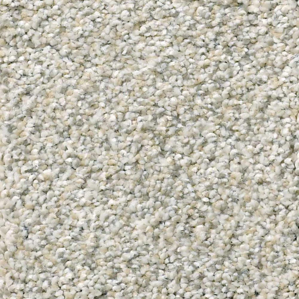 Shaw Montage I Carpet in River Rock