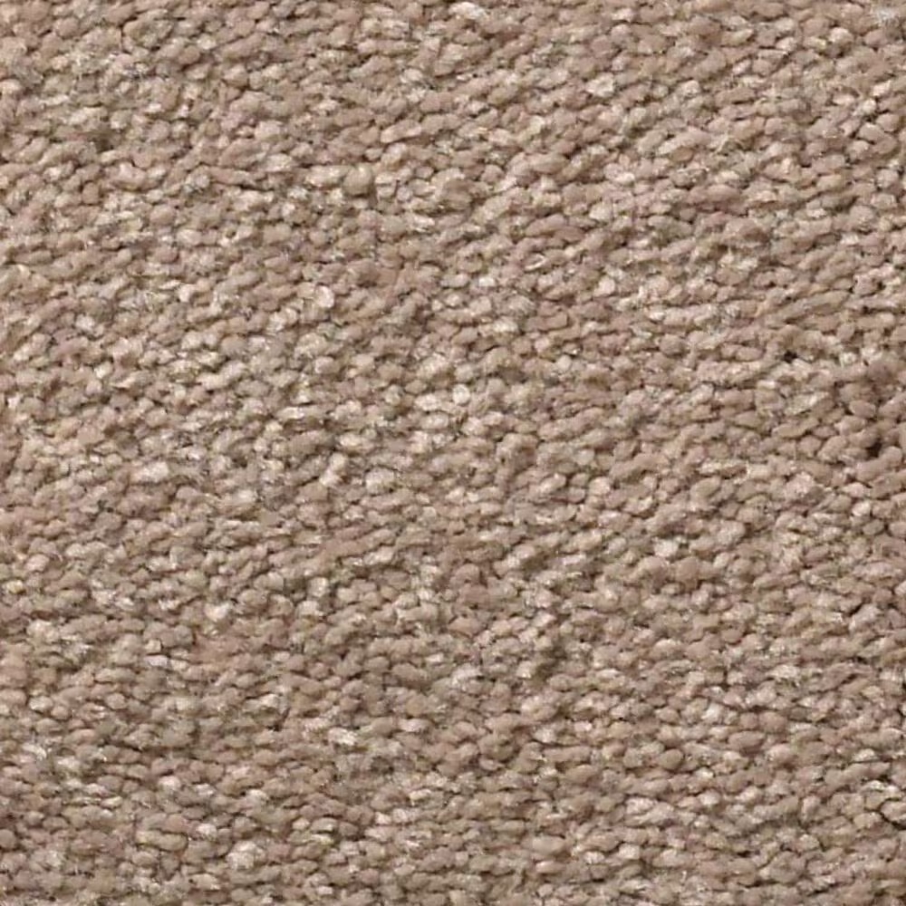 Shaw Montage I Carpet in Hidden Treasure