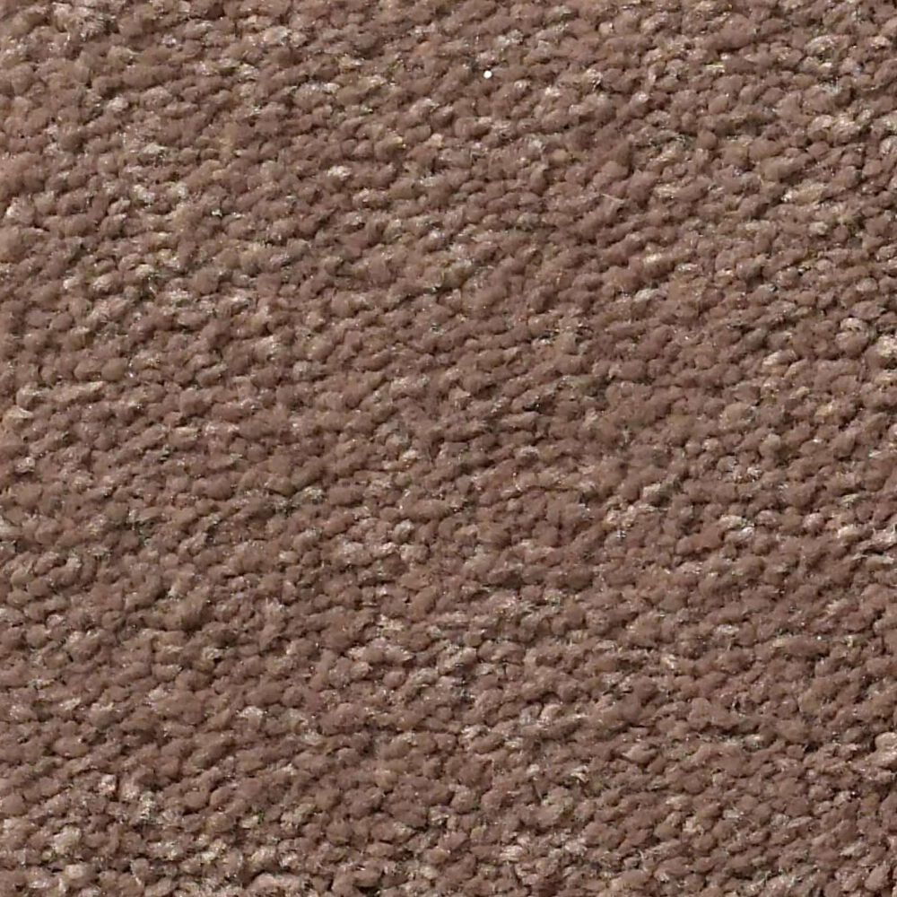 Shaw Montage I Carpet in Mission
