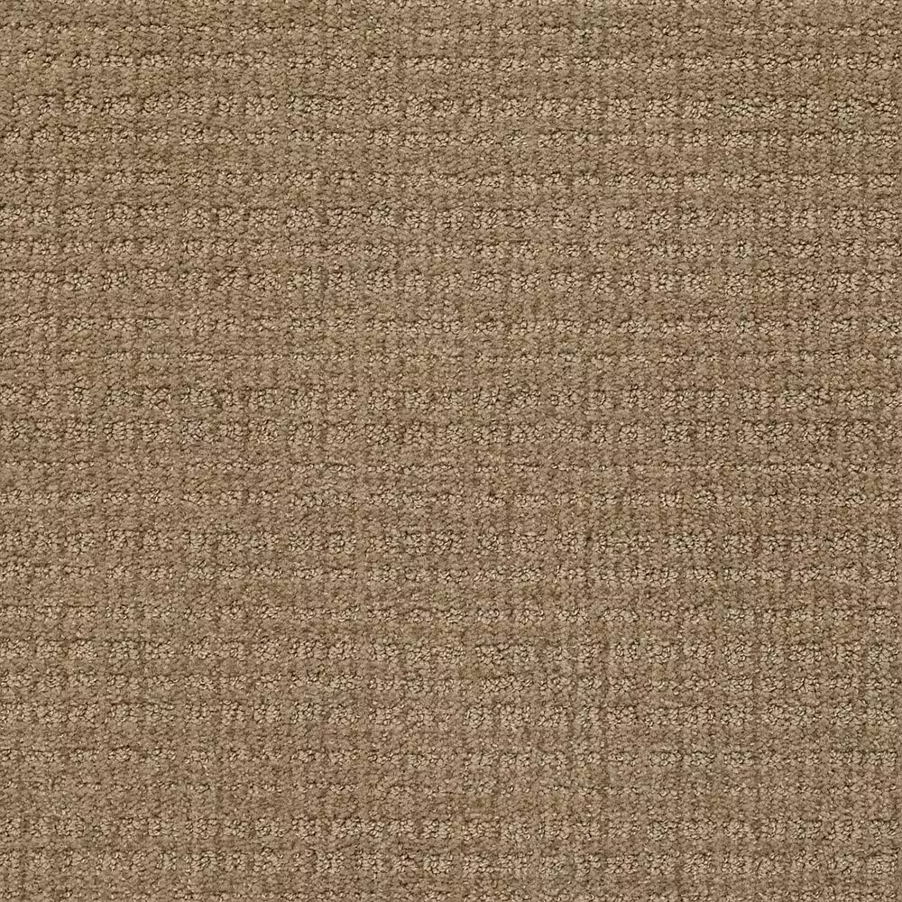 Shaw Sensible Now Carpet in Summerville