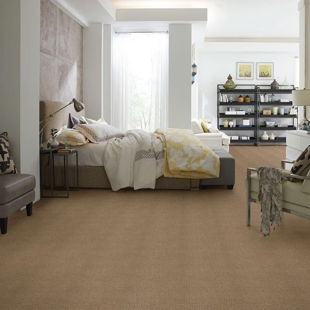 16121-shaw-sensible-now-carpet-in-summerville-1.jpg