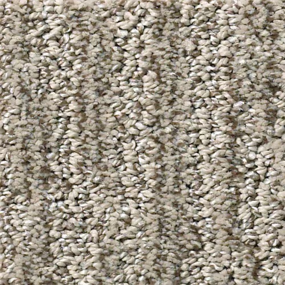 Shaw Easy Fit Carpet in Mesa