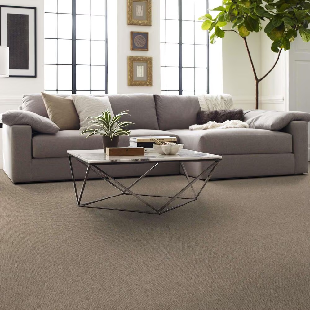 161279-shaw-easy-fit-carpet-in-honeycomb-1.jpg