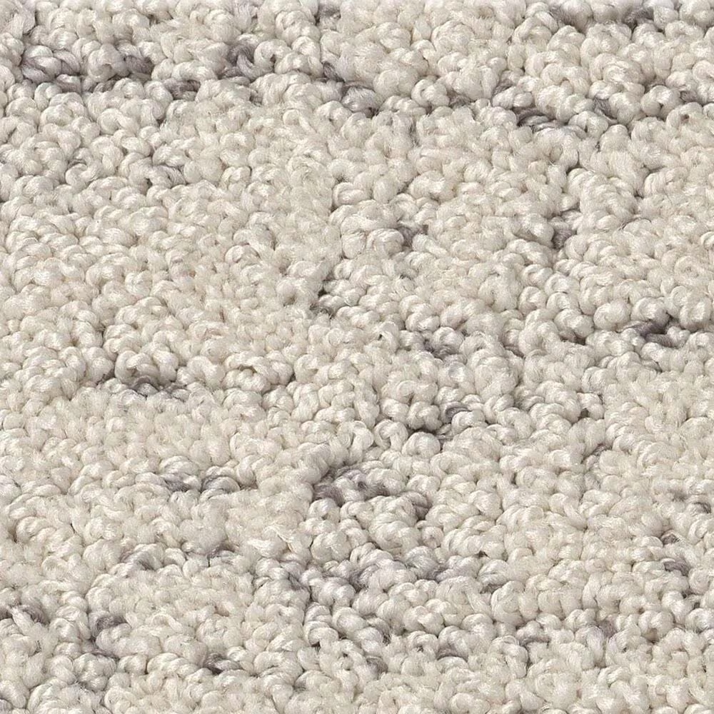 Shaw Run Free Carpet in Snowfall