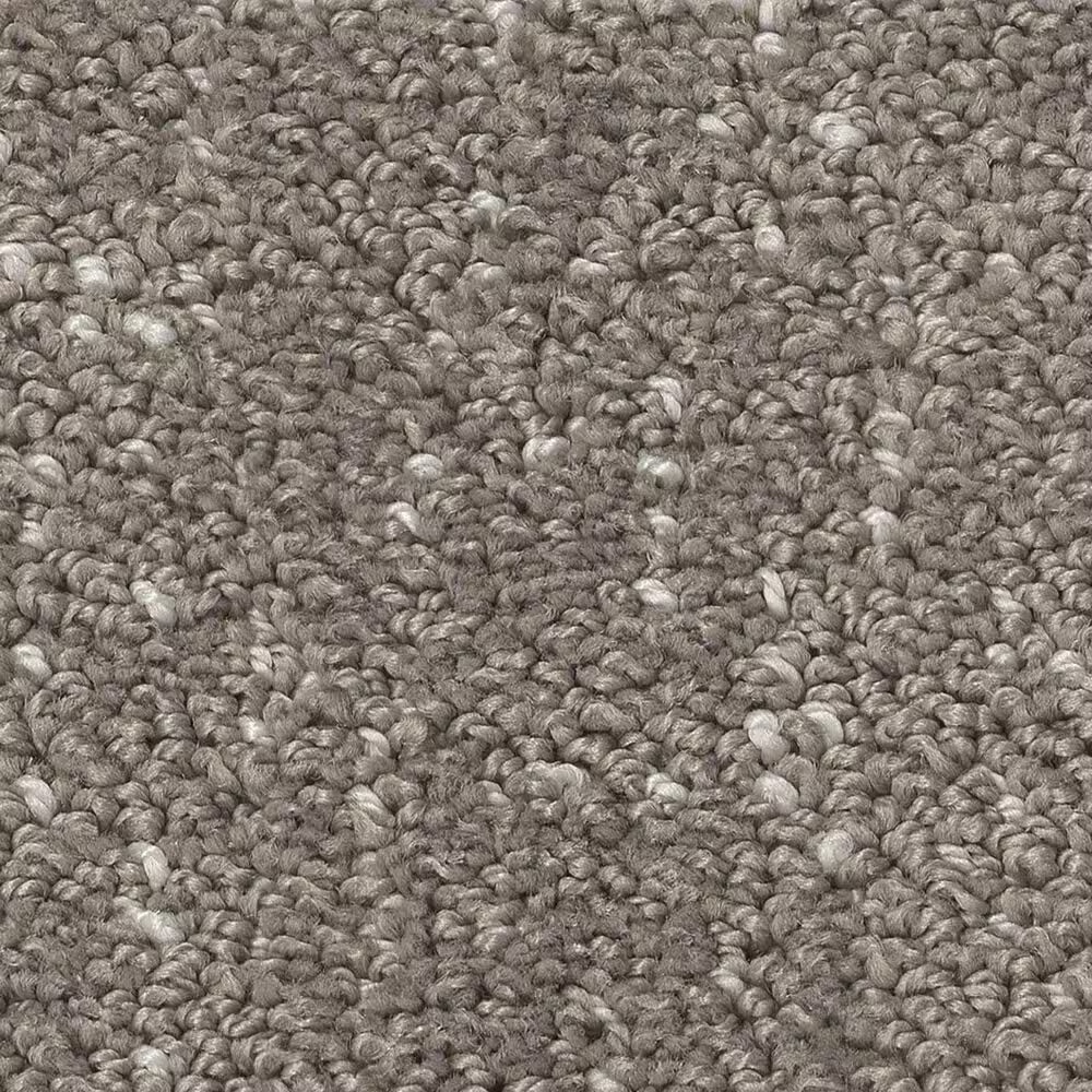 Shaw Run Free Carpet in Ashes