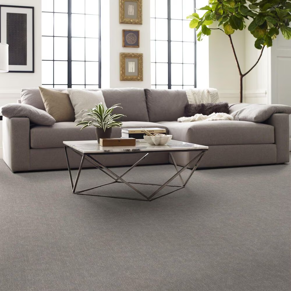 161511-shaw-run-free-carpet-in-rock-crystal-1.jpg