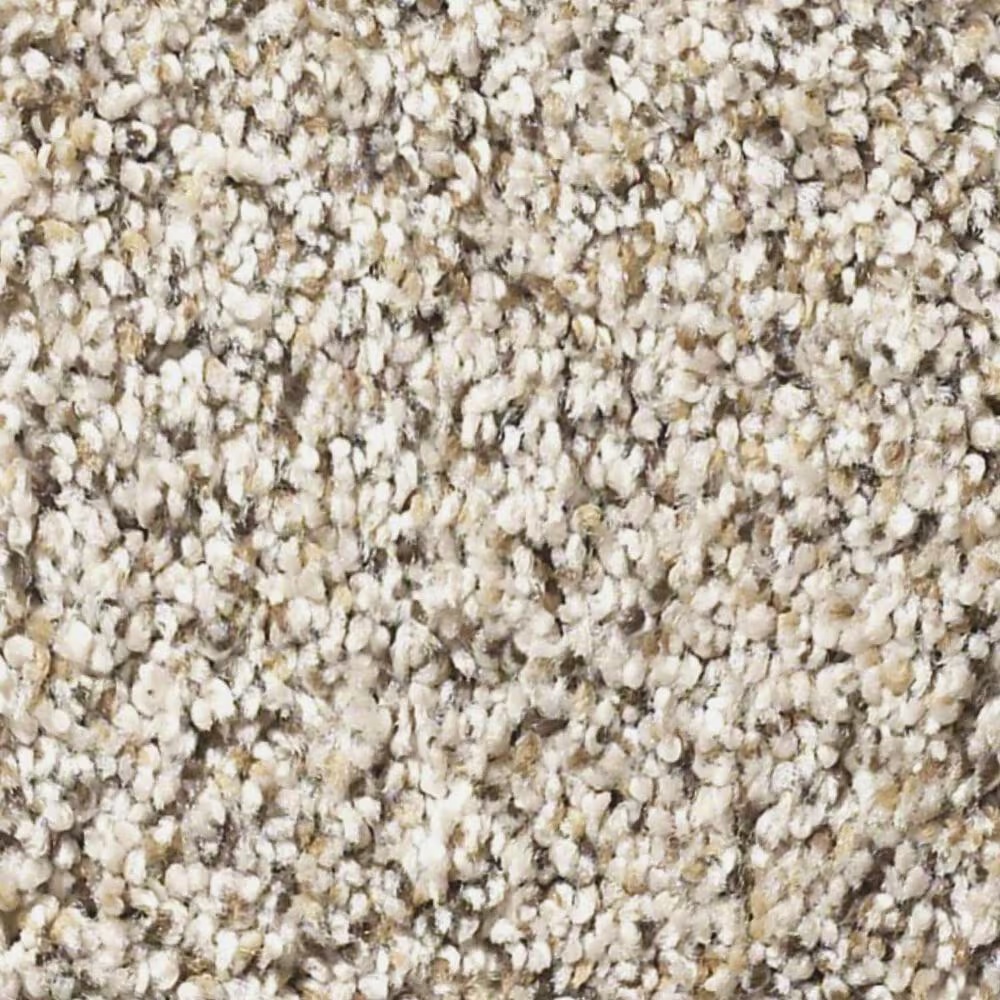Shaw Elemental Mix I Carpet in Gentle Rain