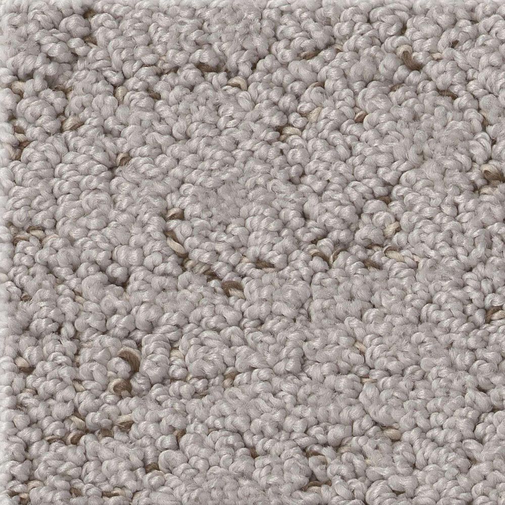 Shaw Run Free Carpet in Gravity