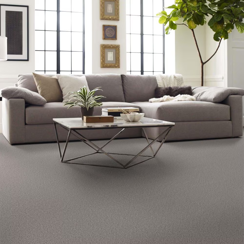 161559-shaw-boundless-i-carpet-in-white-wash-1.jpg