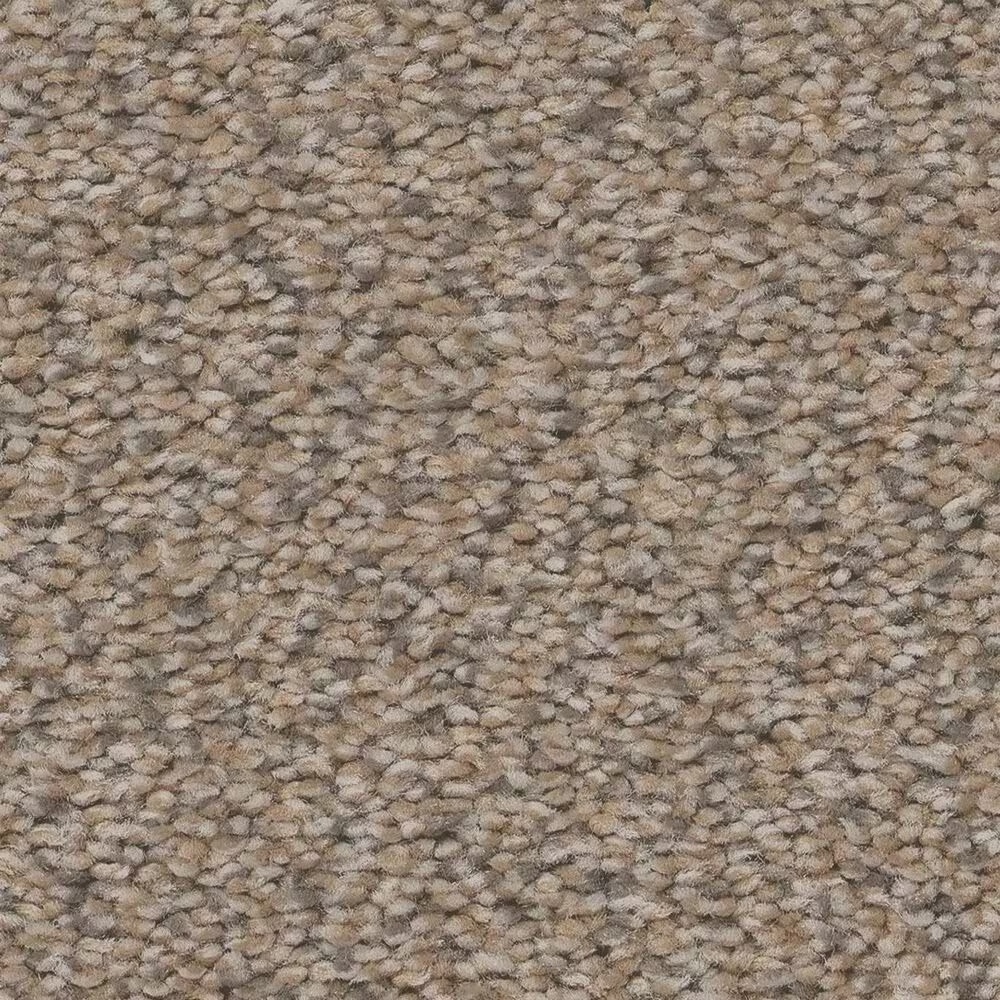 Shaw Boundless I Carpet in Morning Light