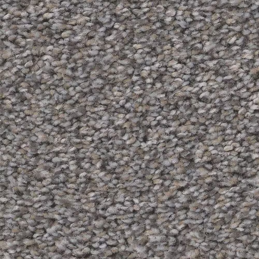 Shaw Boundless I Carpet in Flannel