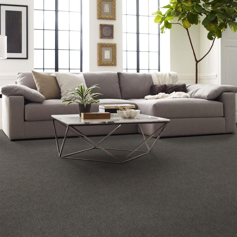 161723-shaw-boundless-i-carpet-in-magnetic-1.jpg