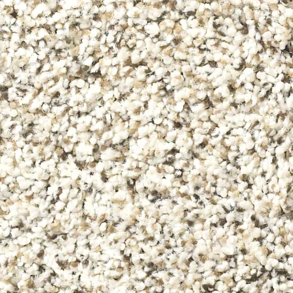 Shaw Elemental Mix I Carpet in Swiss Coffee