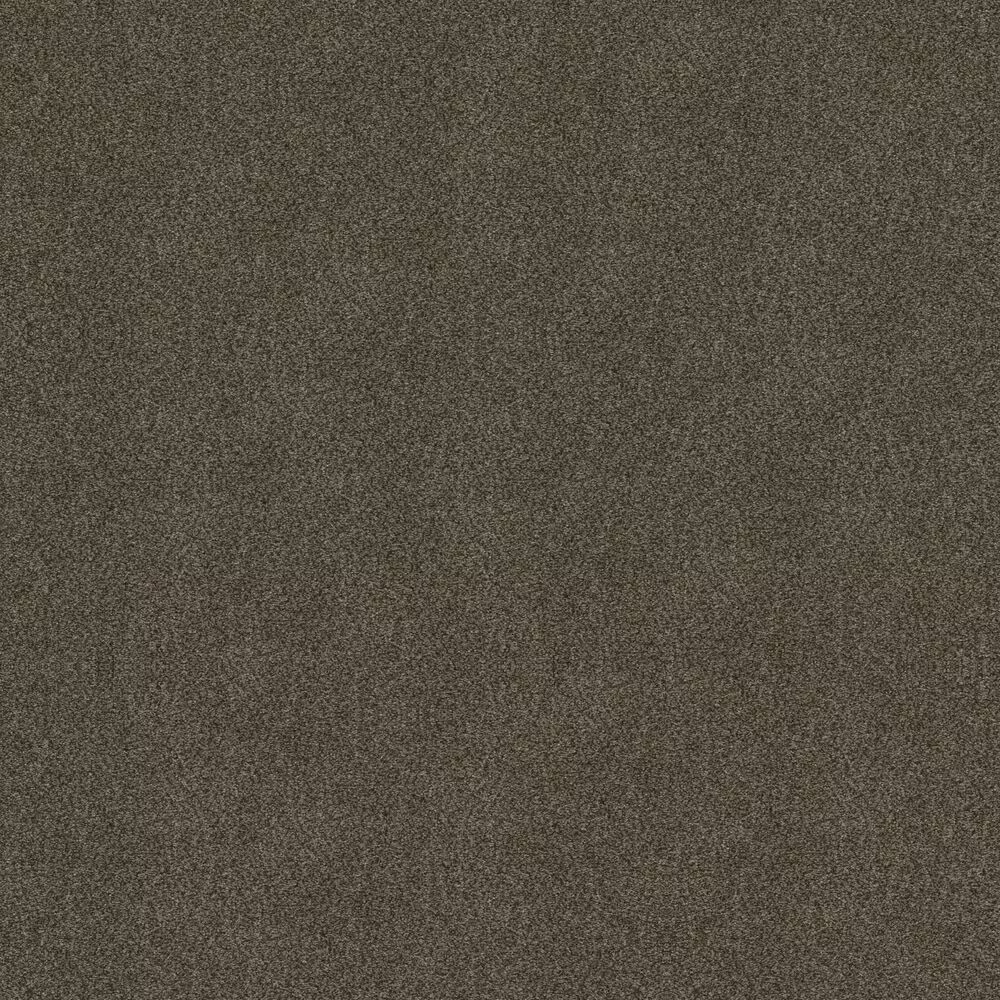 Shaw Boundless I Carpet in Chestnut Ridge