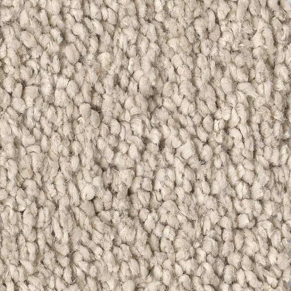 Shaw Posh Life Carpet in Natural