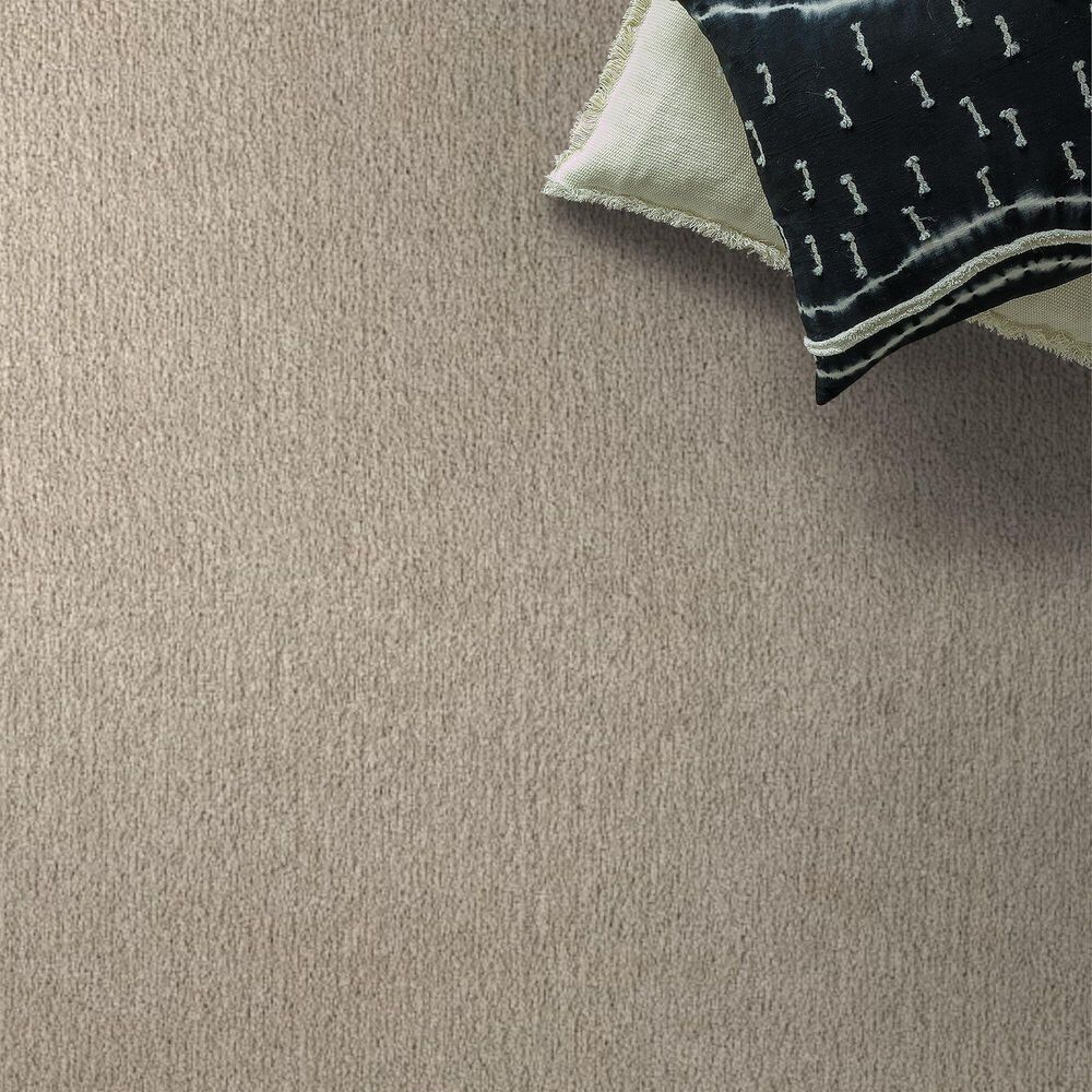 161867-shaw-posh-life-carpet-in-natural-1.jpg
