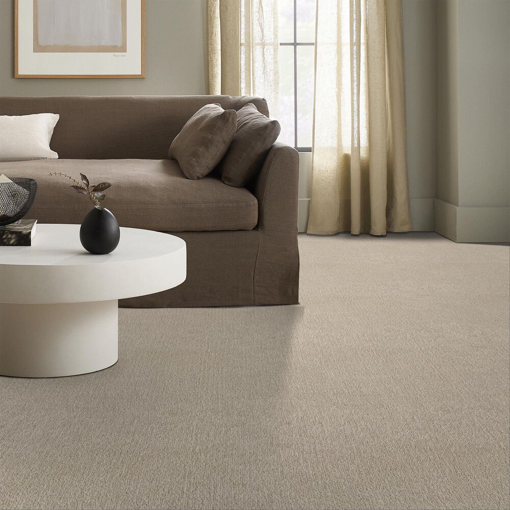 161867-shaw-posh-life-carpet-in-natural-1.jpg
