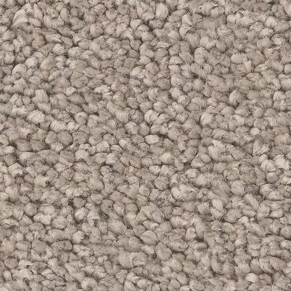 Shaw Posh Life Carpet in Chic Greige