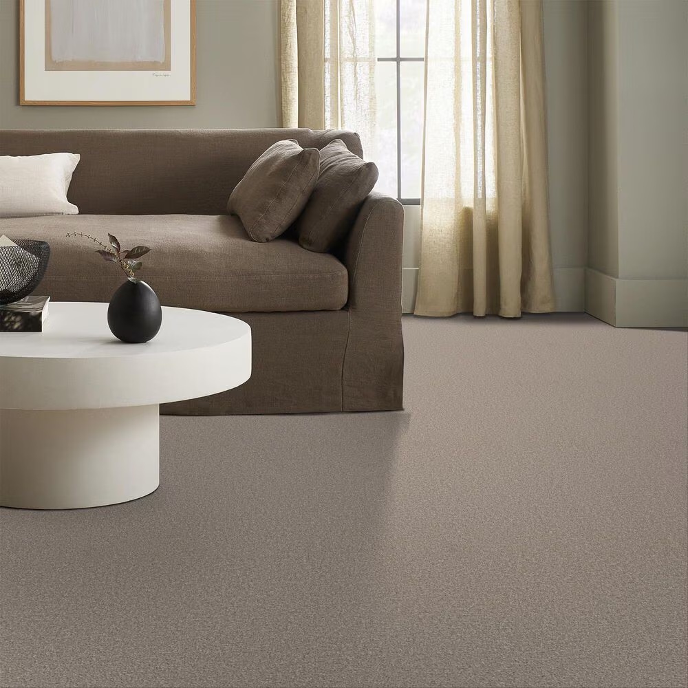 161880-shaw-posh-life-carpet-in-chic-greige-1.jpg
