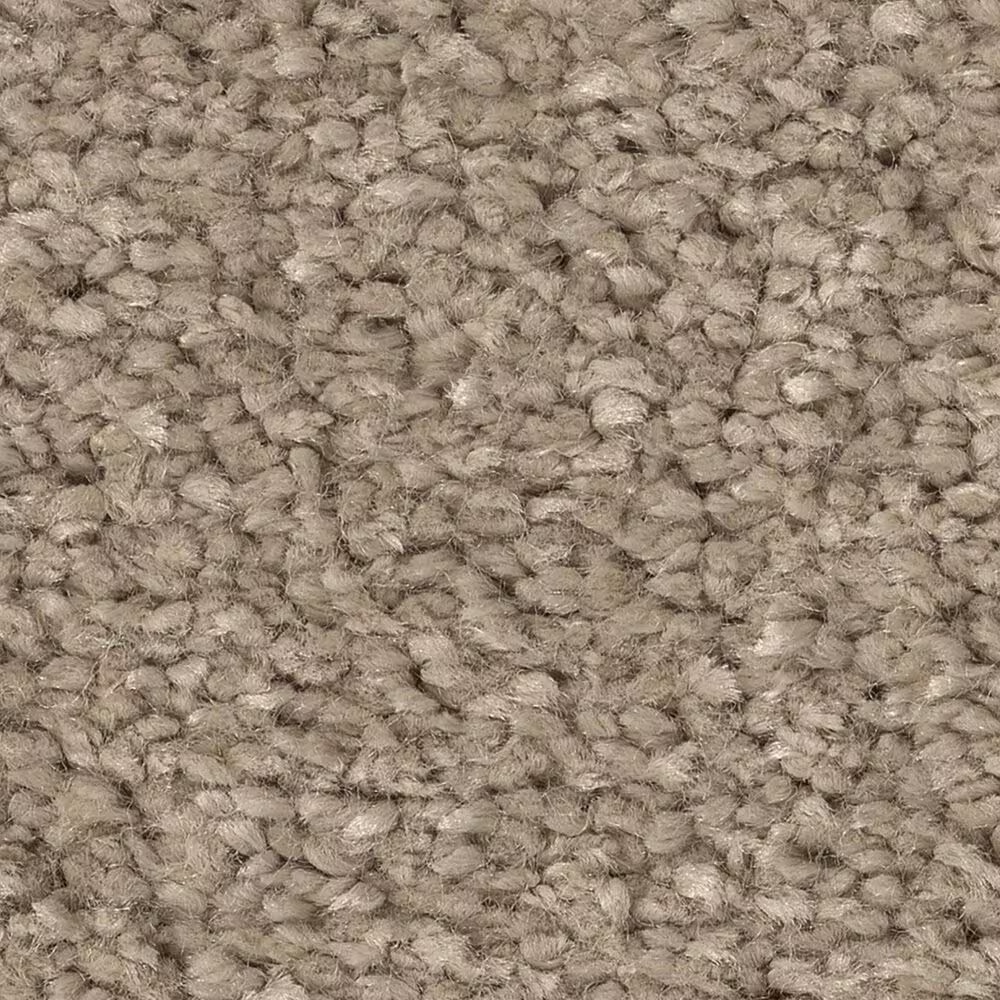 Shaw Posh Life Carpet in Cameo