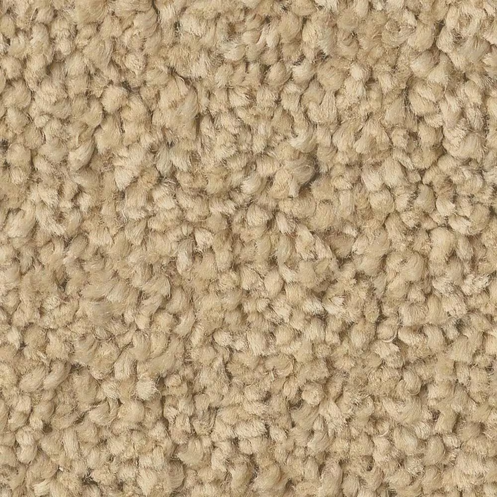 Shaw Posh Life Carpet in Honeycomb