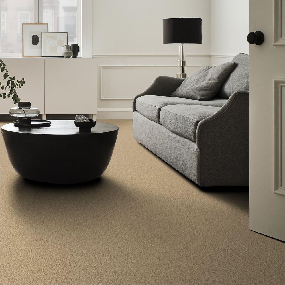 161932-shaw-posh-life-carpet-in-honeycomb-1.jpg