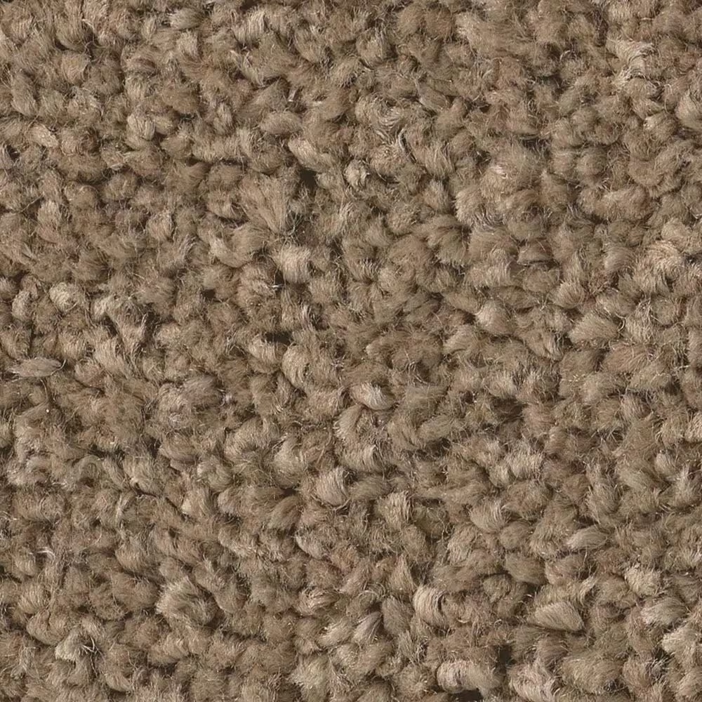 Shaw Posh Life Carpet in Mission Ridge