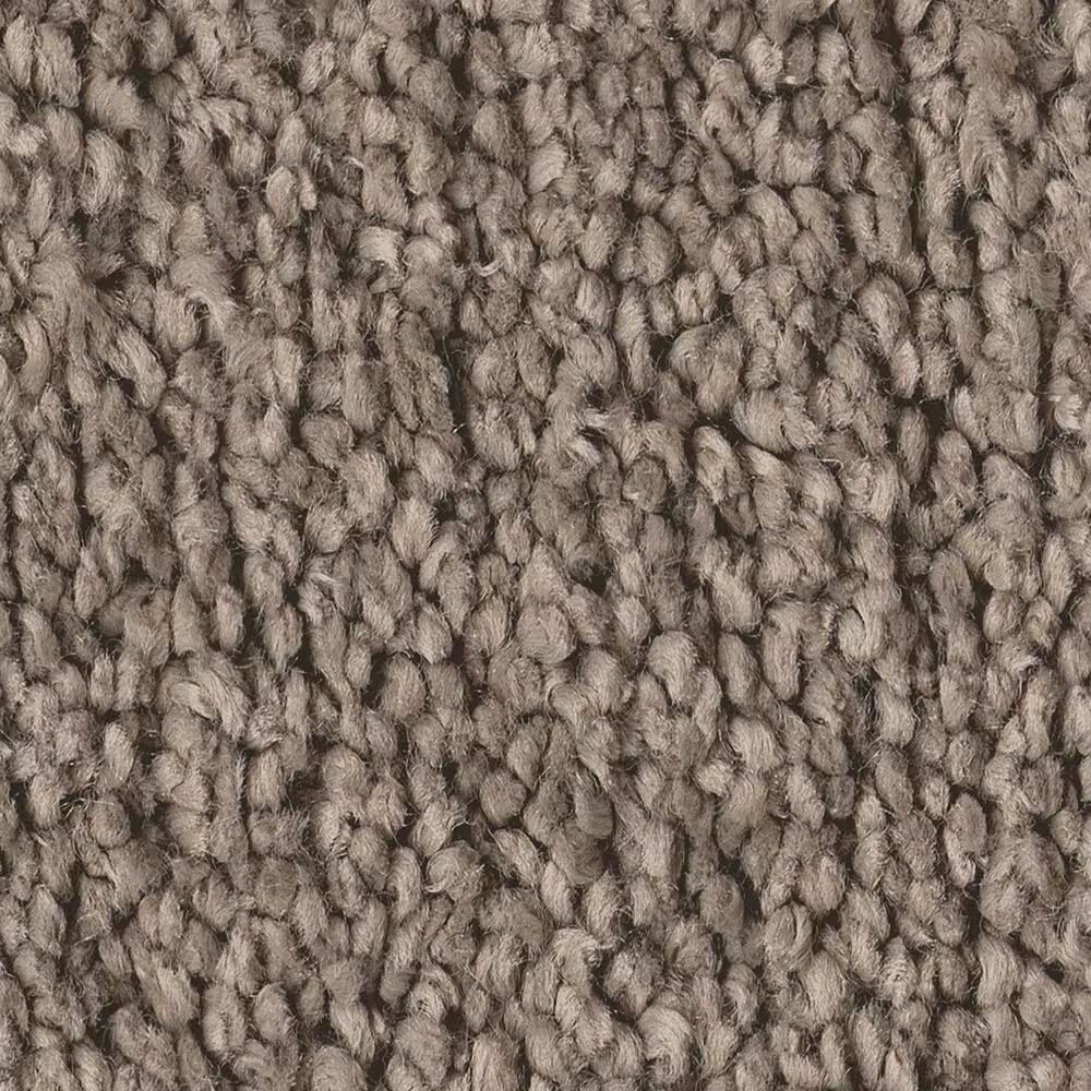 Shaw Posh Life Carpet in Cobblestone