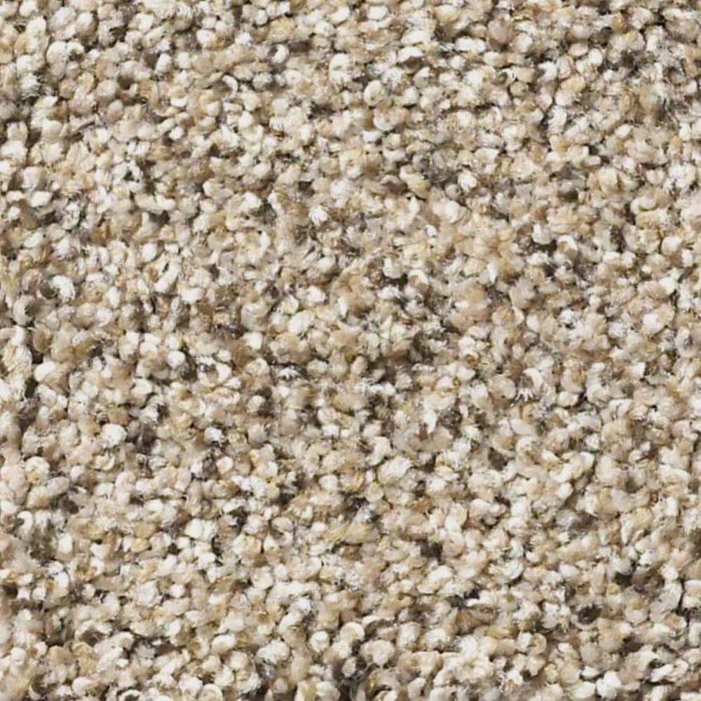 Shaw Elemental Mix I Carpet in Twine