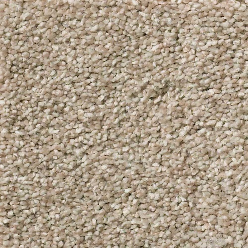 Shaw Montage I Carpet in Midtown Brown