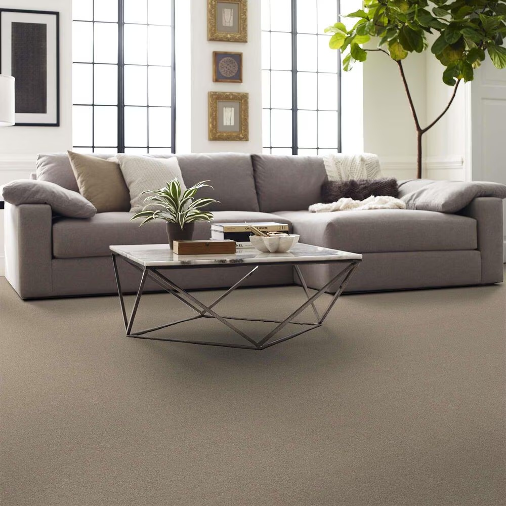 162158-shaw-montage-i-carpet-in-midtown-brown-1.jpg