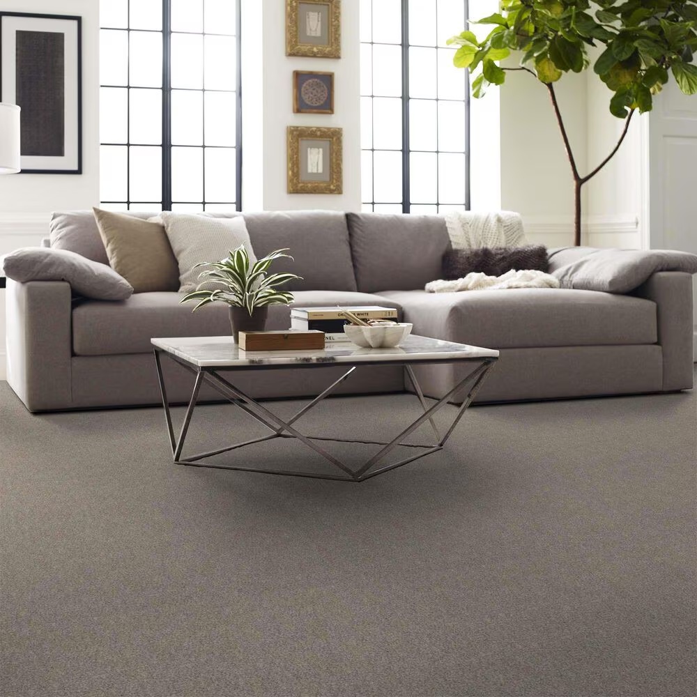 162234-shaw-boundless-ii-carpet-in-creamery-1.jpg