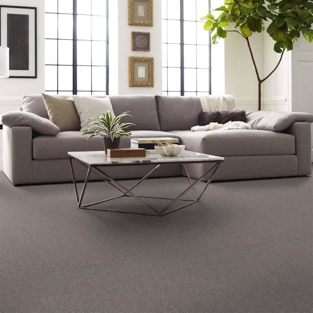 162253-shaw-boundless-ii-carpet-in-soft-breeze-1.jpg