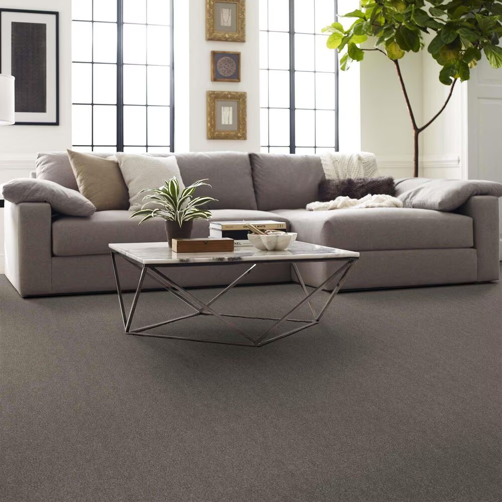 162462-shaw-boundless-ii-carpet-in-dreamscape-1.jpg