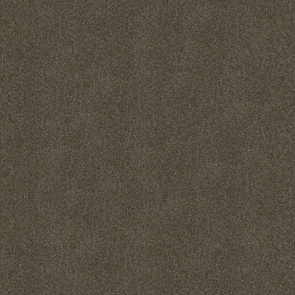 Shaw Boundless II Carpet in Chestnut Ridge
