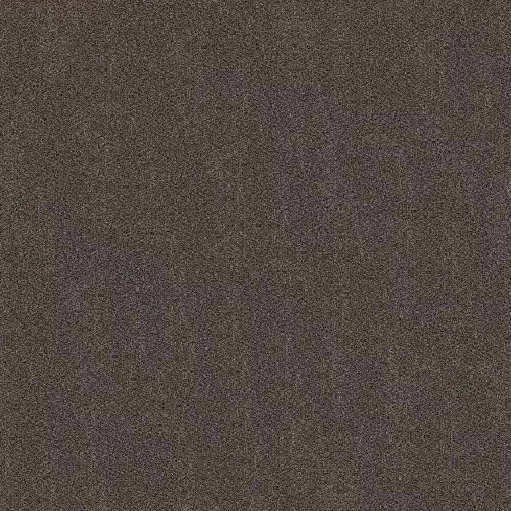 Shaw Boundless II Carpet in Cabana