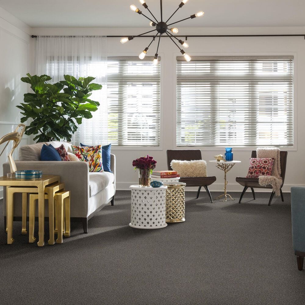 16252-shaw-foundations-elemental-mix-i-carpet-in-antique-pin-1.jpg