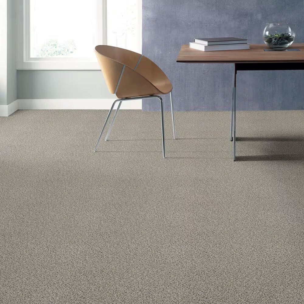 16253-shaw-foundations-elemental-mix-i-carpet-in-silver-lining-1.jpg
