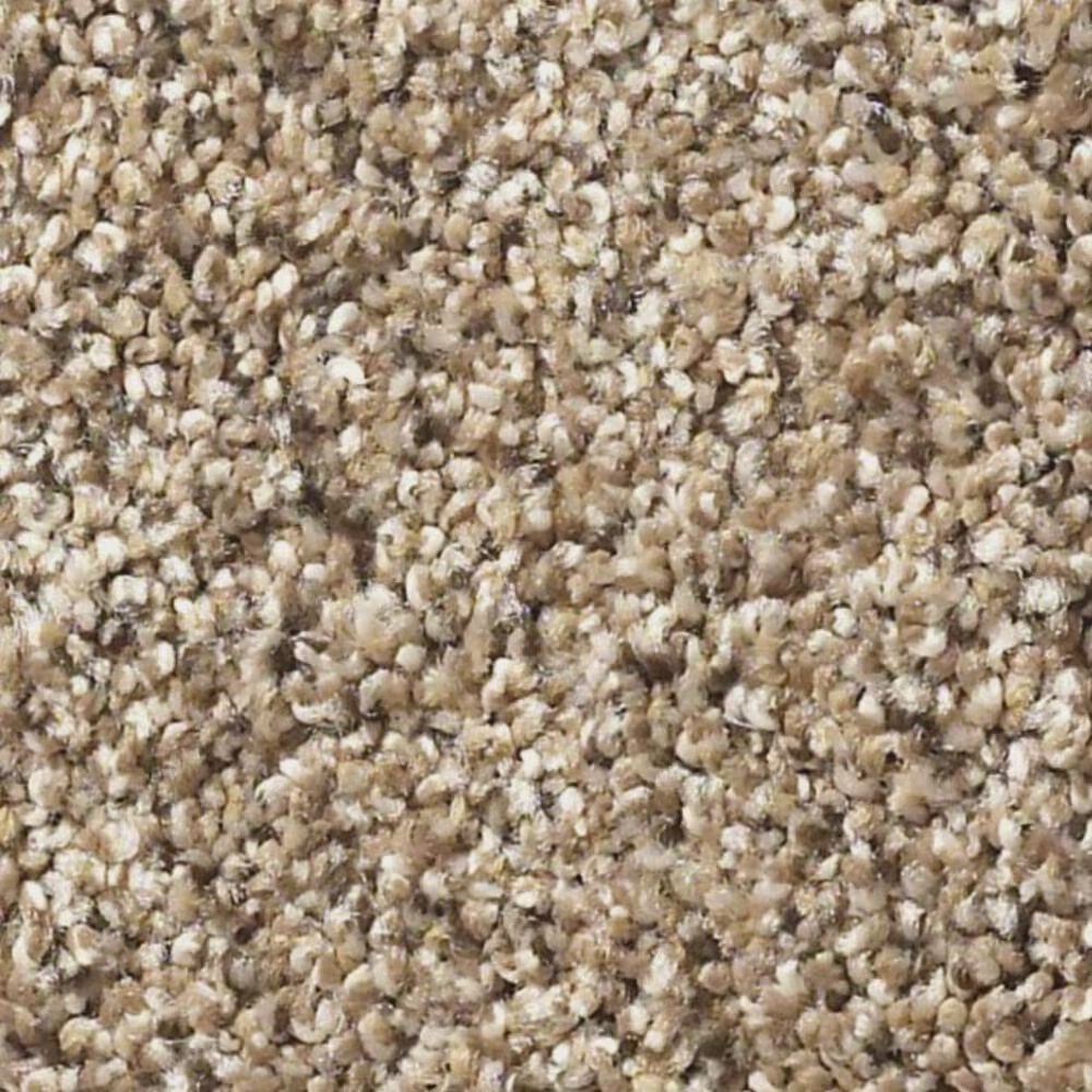 Shaw Elemental Mix I Carpet in Arrowhead