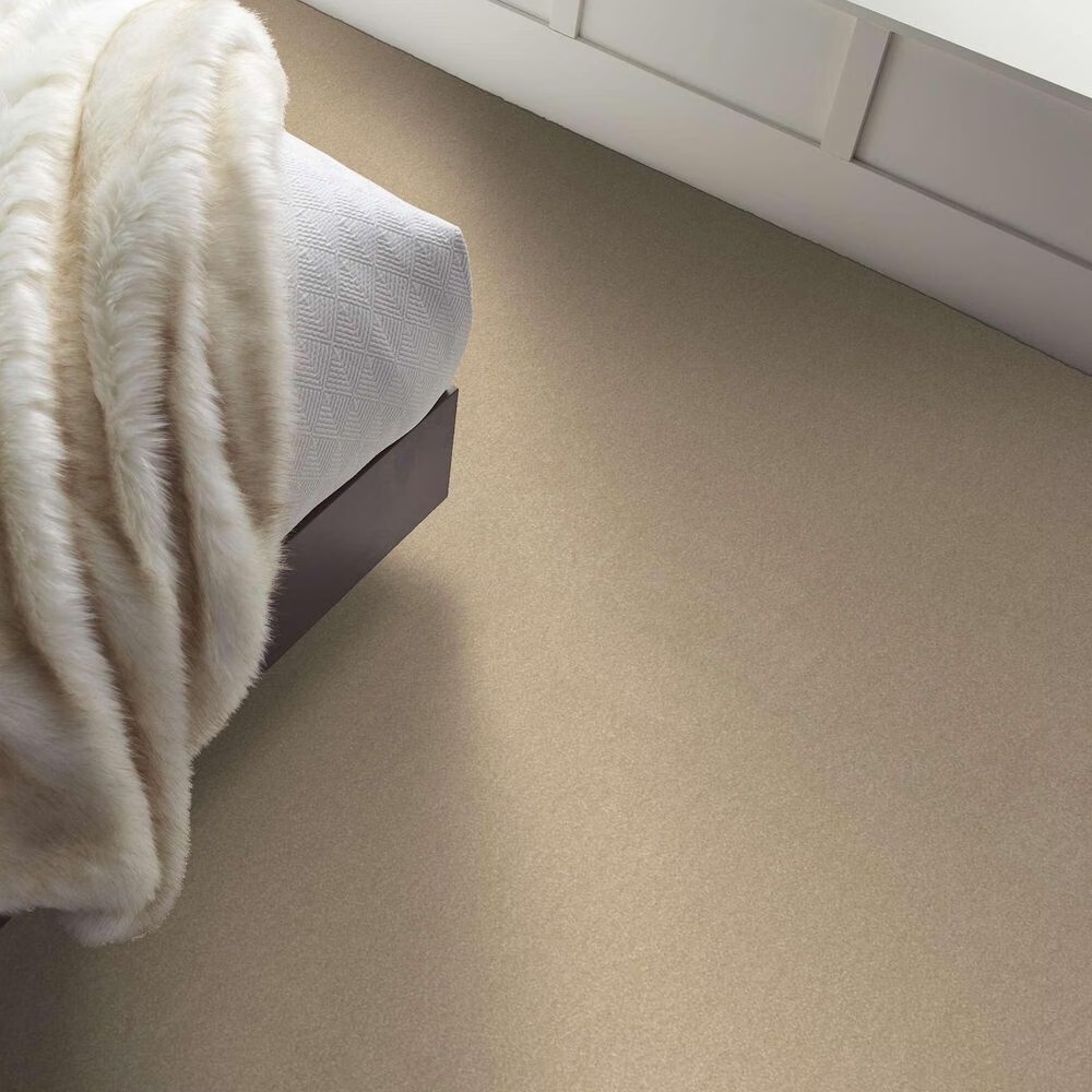 162624-shaw-luxuriant-carpet-in-timeless-ivory-1.jpg