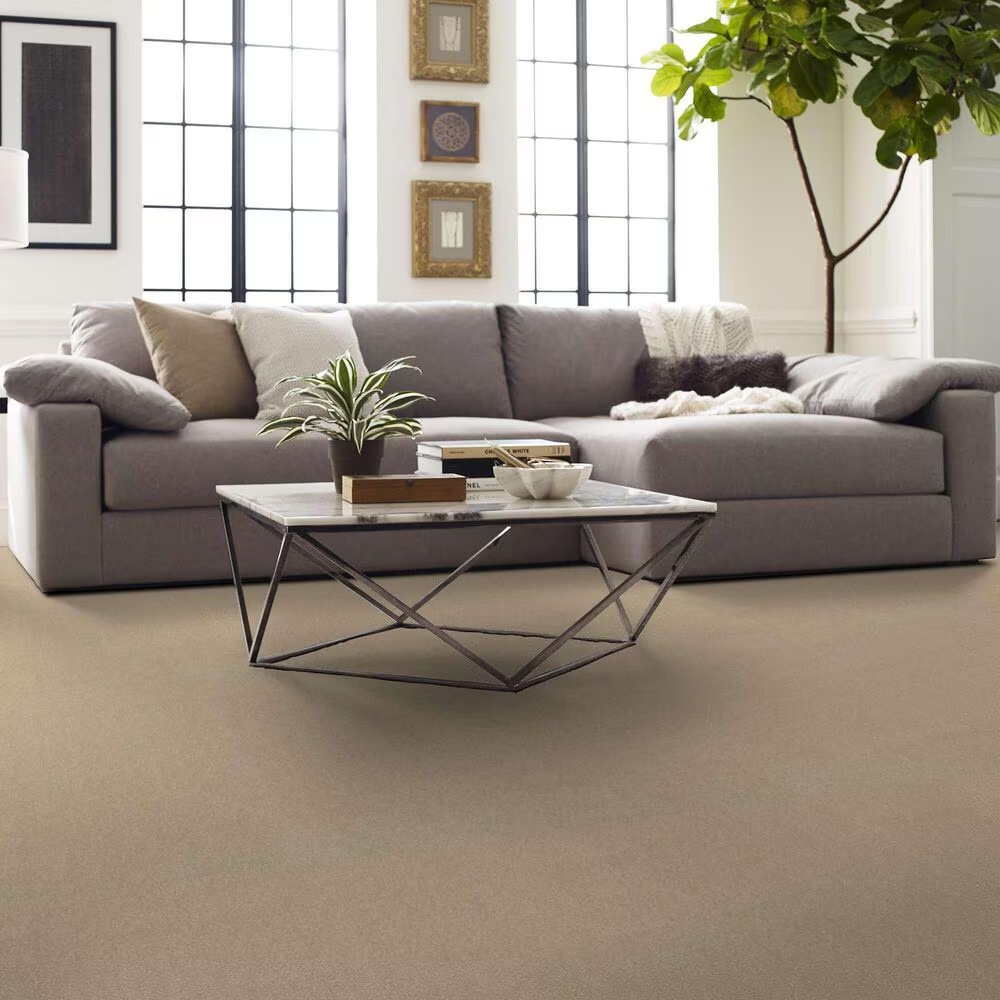 162624-shaw-luxuriant-carpet-in-timeless-ivory-1.jpg