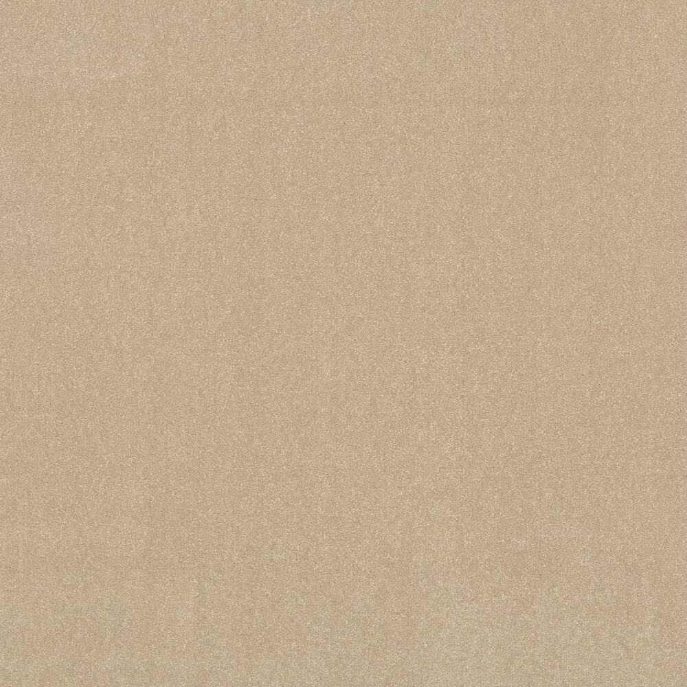 162624-shaw-luxuriant-carpet-in-timeless-ivory-1.jpg
