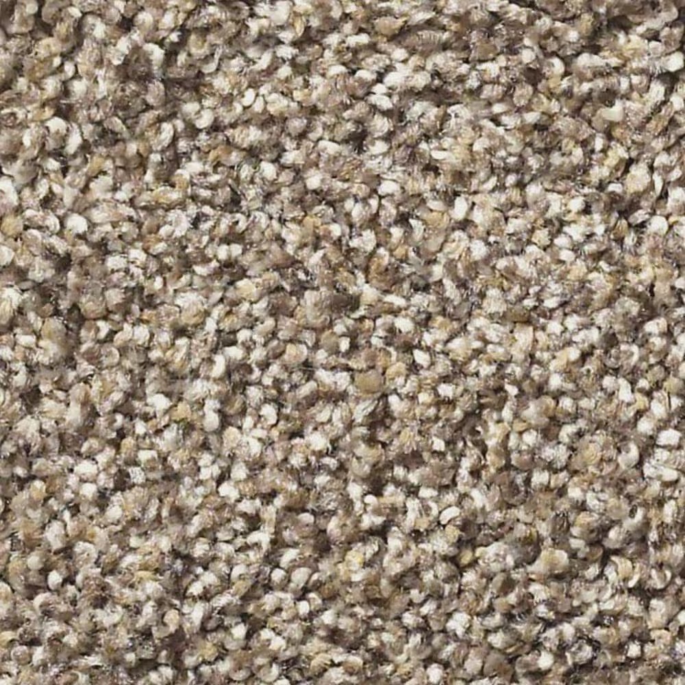 Shaw Elemental Mix I Carpet in Cobble Drive