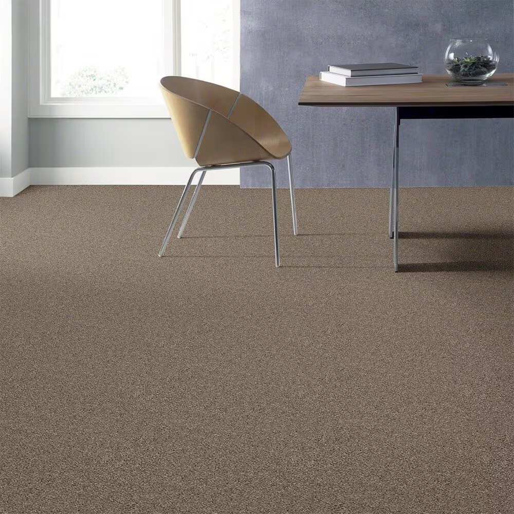 16266-shaw-elemental-mix-i-carpet-in-cobble-drive-1.jpg