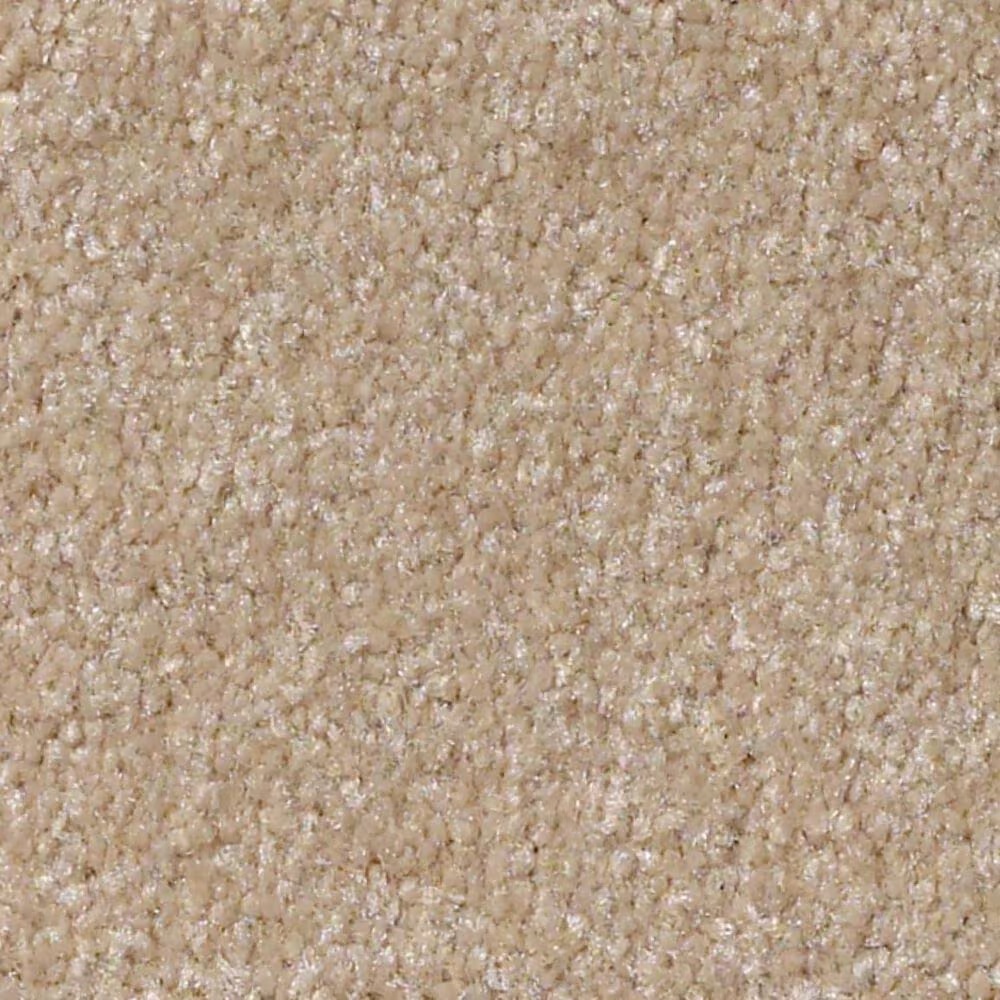 Shaw Luxuriant Carpet in Old Photograph