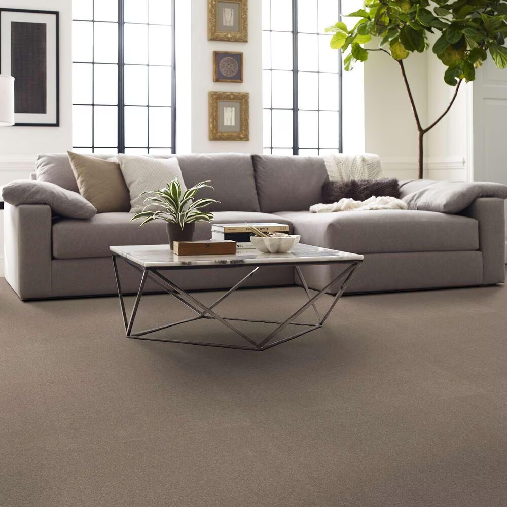 162771-shaw-luxuriant-carpet-in-old-photograph-1.jpg