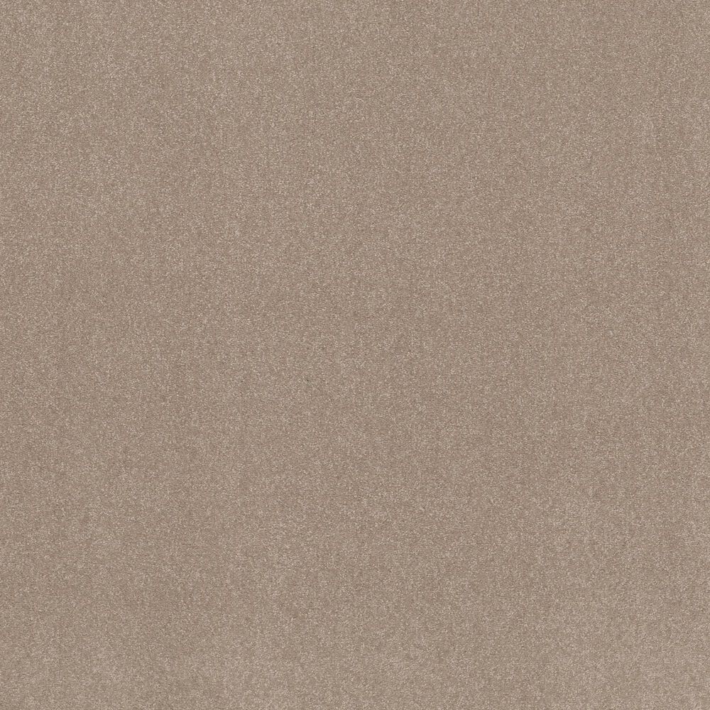 162771-shaw-luxuriant-carpet-in-old-photograph-1.jpg