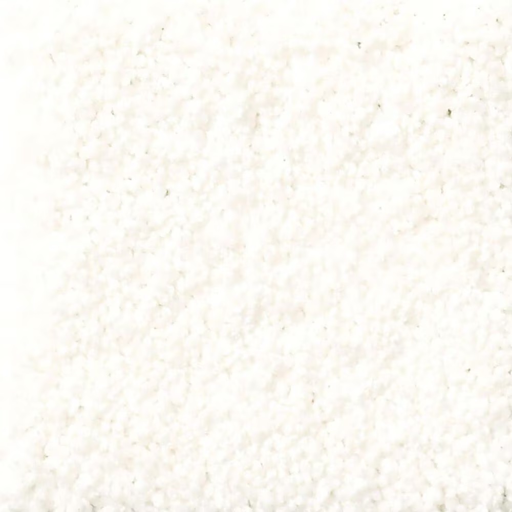 Shaw Foundations Keen Senses I Carpet in White Hot